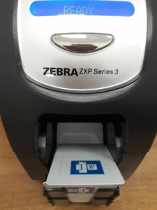 zebra imprimanta carduri CHR
